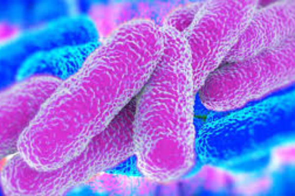 Federconsumatori Parma: su vicenda legionella non cali il silenzio