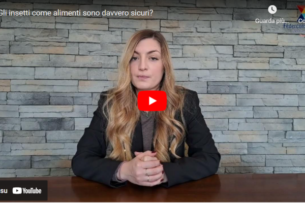 Gli insetti come alimenti: sono davvero sicuri?